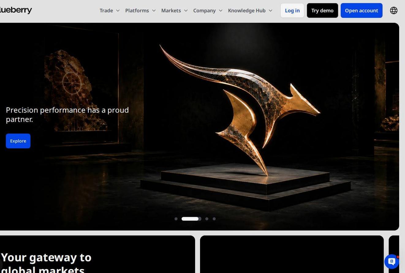 Screenshot of the Blueberry Markets website